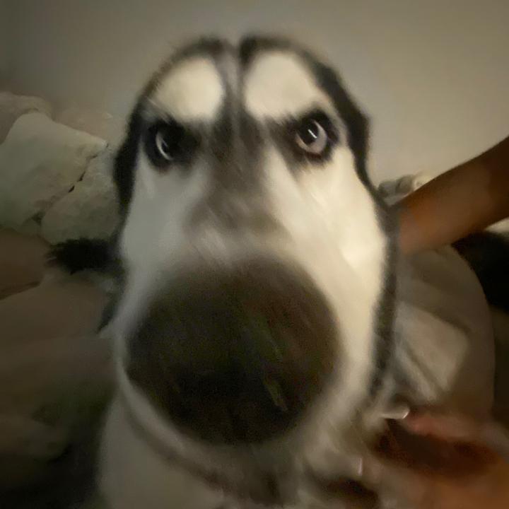 @frank0c3answifey