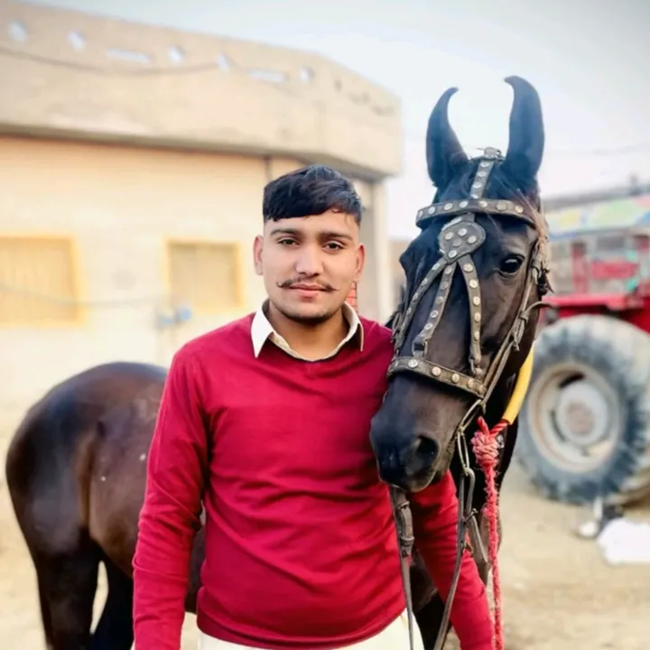 houselover_virk