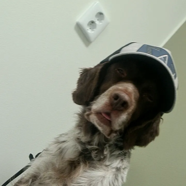 diesel_working