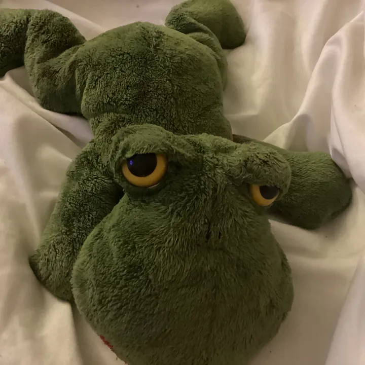 frogyfrogs
