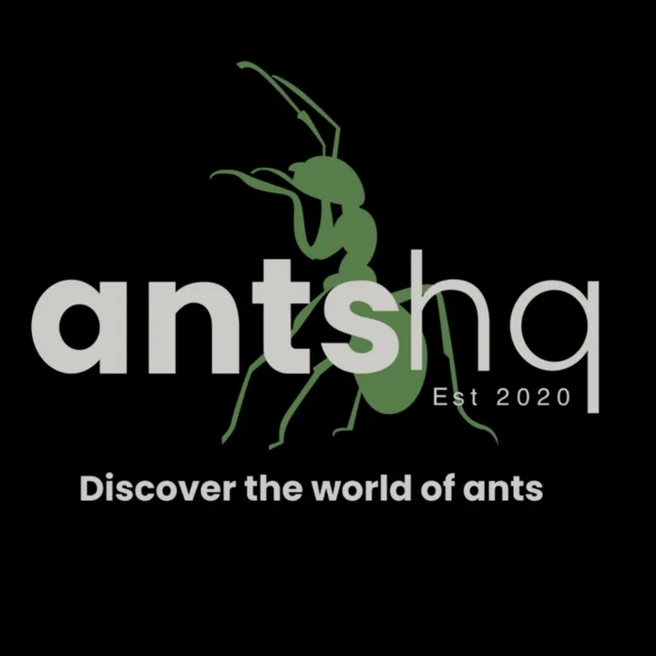 @antshq