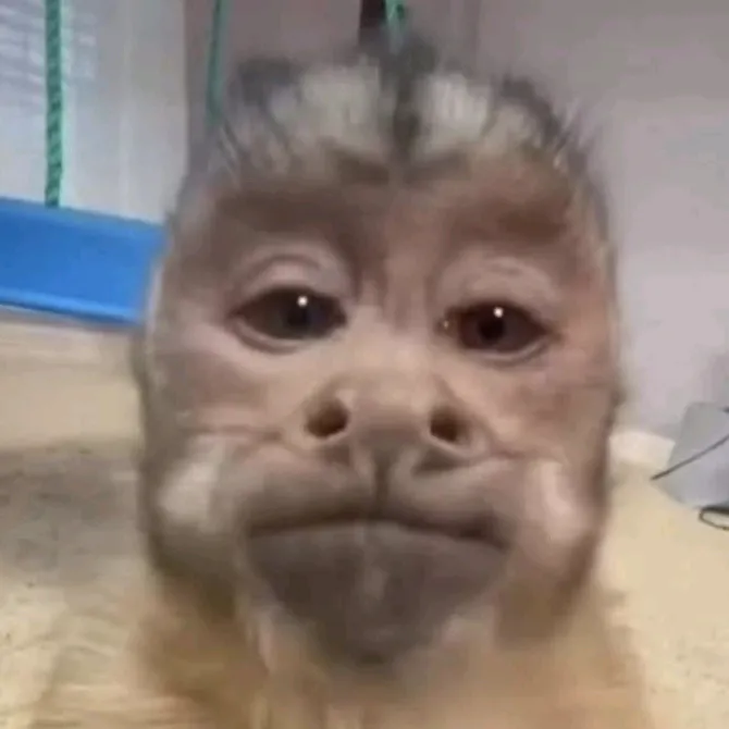 tuchanguito_sv