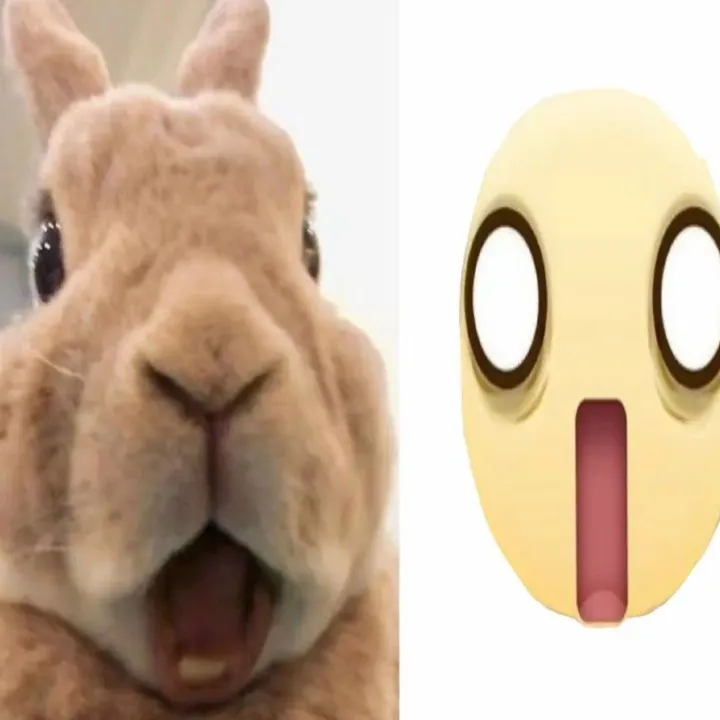 @.bunnies83