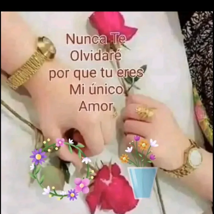 labella_477