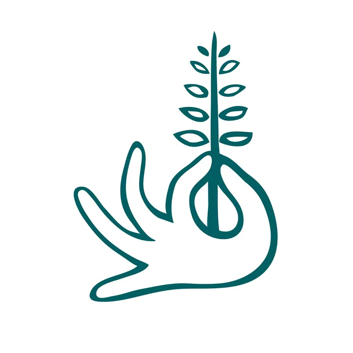 springbonekitchen