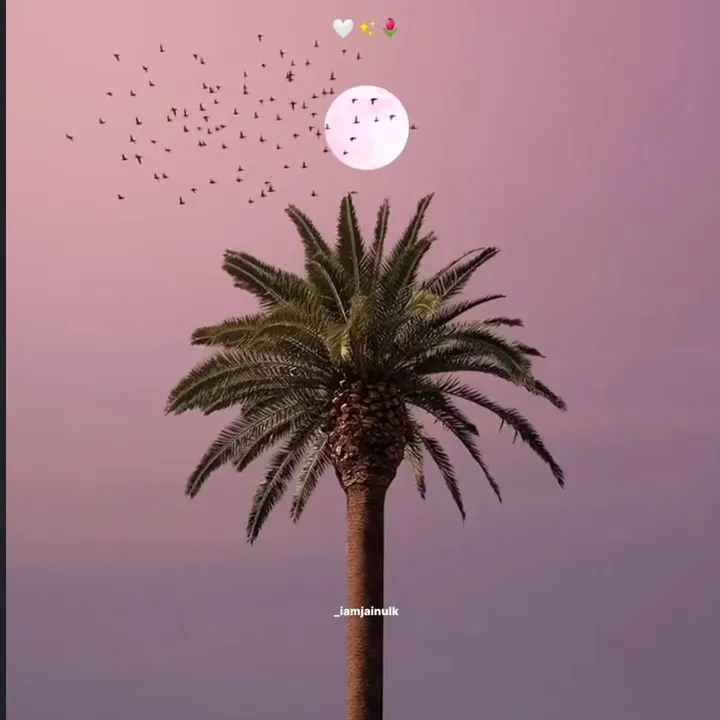 @stardrama_4