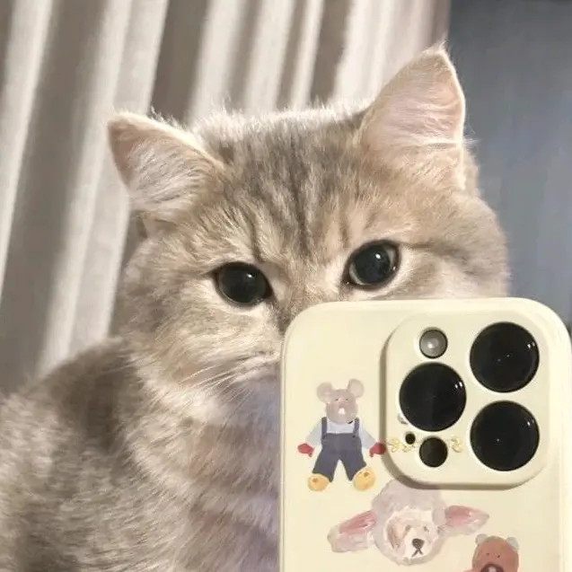 𝑷𝒂𝒄𝒂𝒓 𝒐𝒏𝒍𝒊𝒏𝒆 - suara asli
