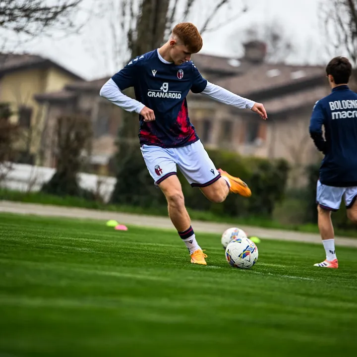 minelkujrakovic