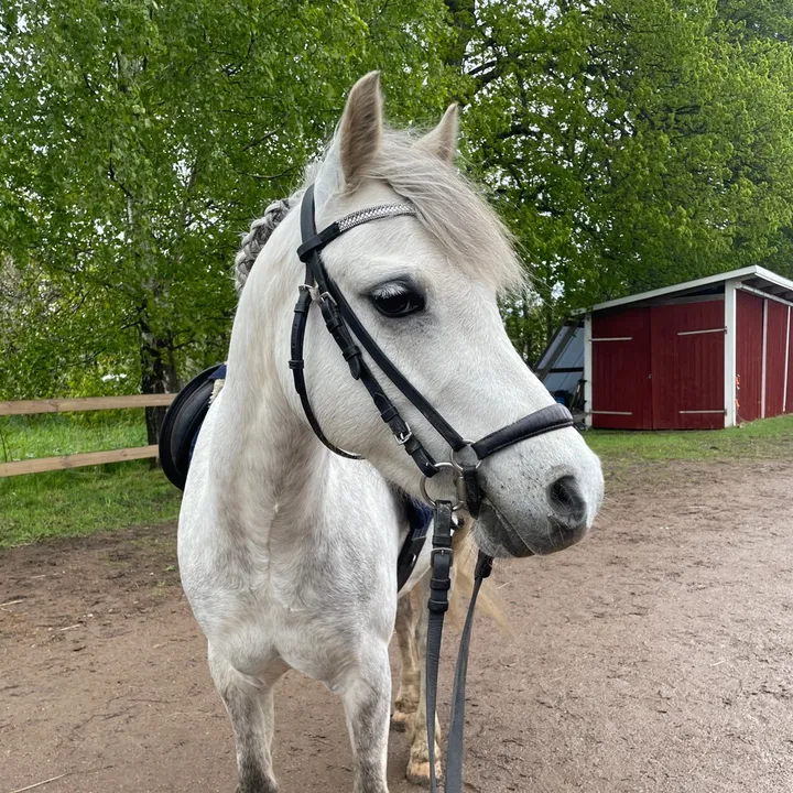 @smilla_vigren