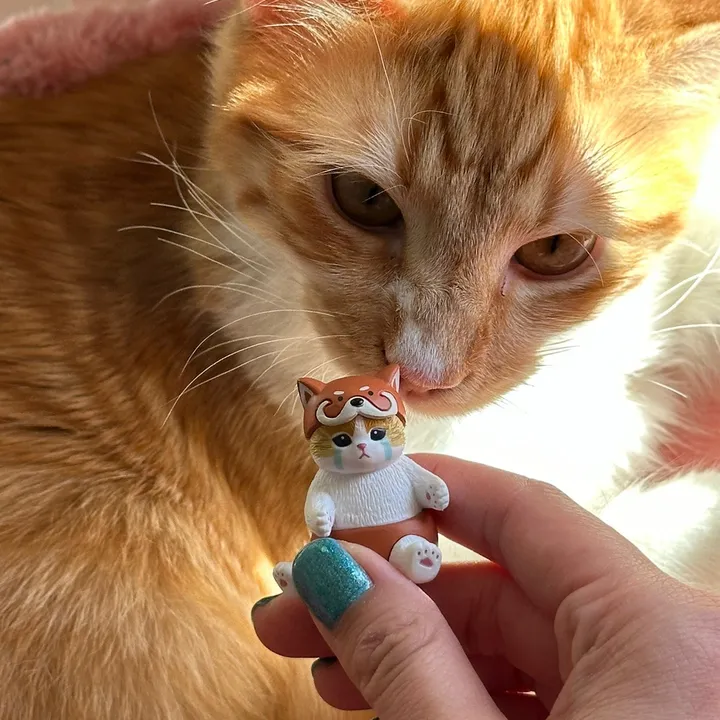@meloncreamcat