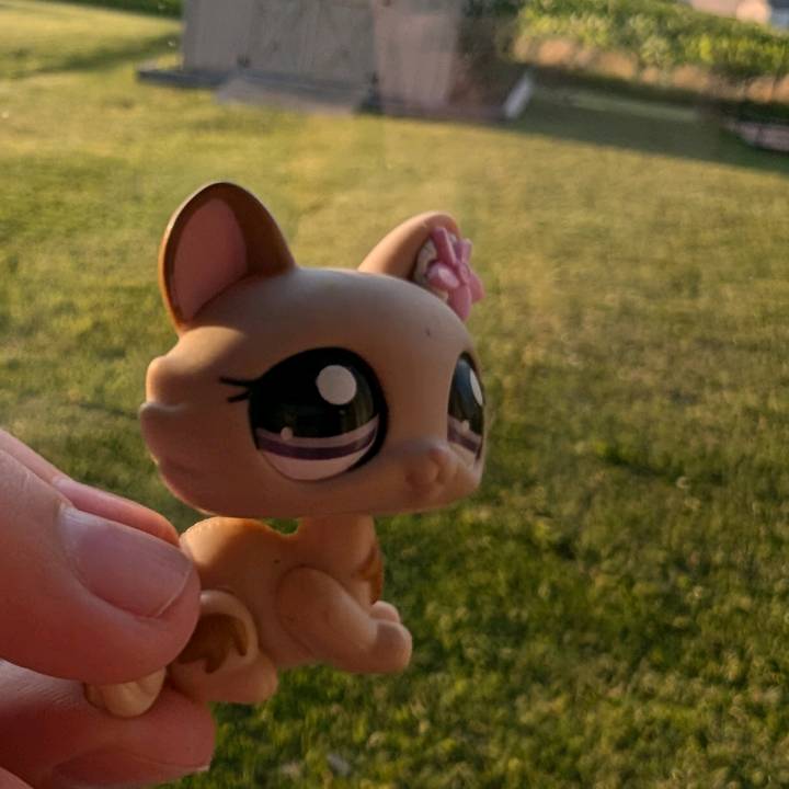 sunnys.lps
