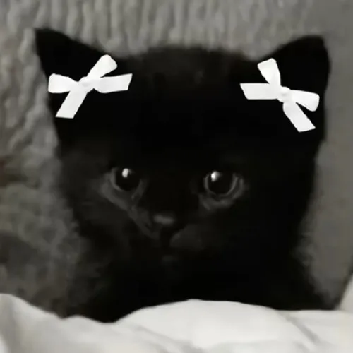 nala_vr2657