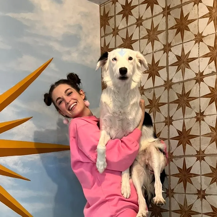 @whiskbone