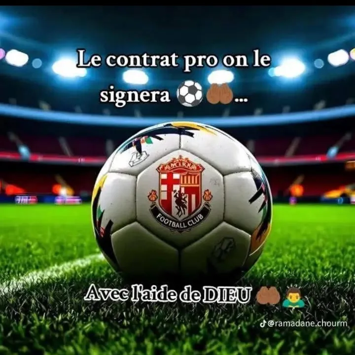 @bibione64