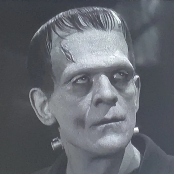 frankenstein._.girl