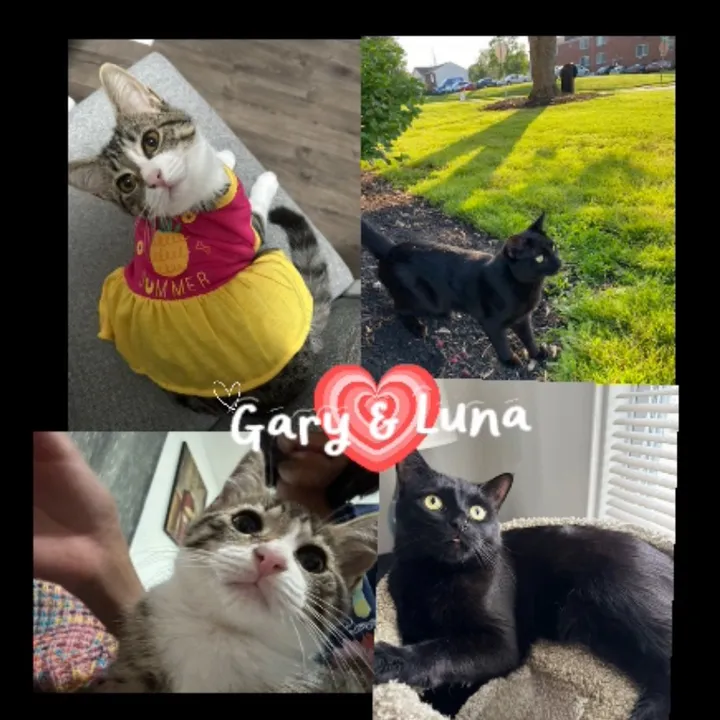gary.luna4