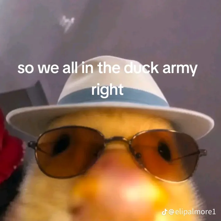 @williamp173