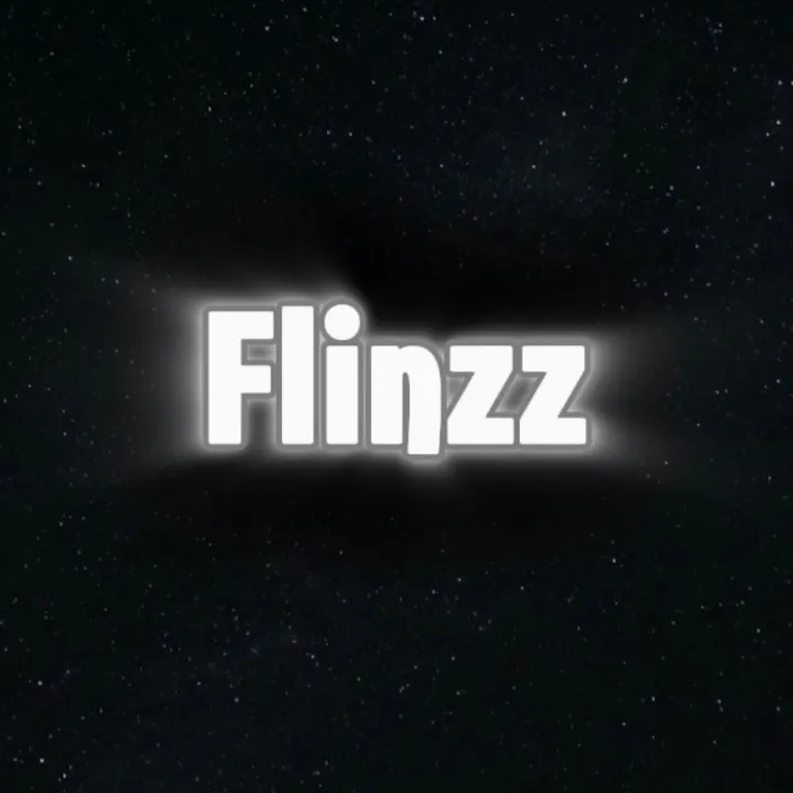 .flinzz