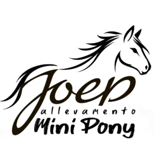 joep.allevamentominipony