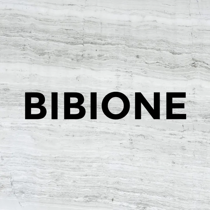 @bibione28