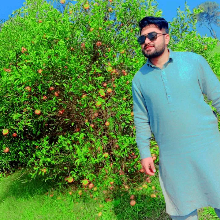 atifdhillu985