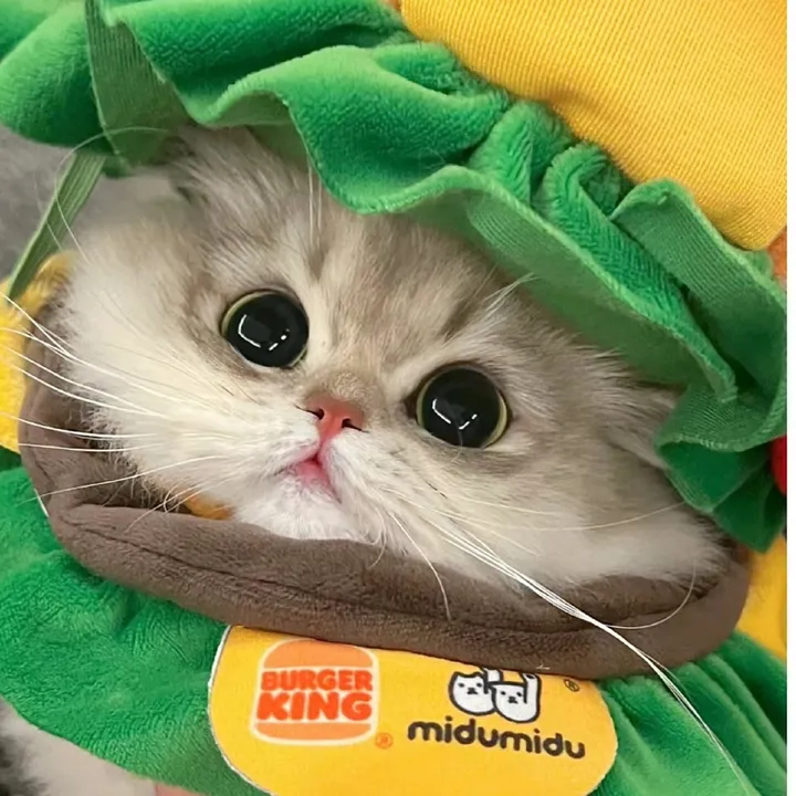 kiki_animals22