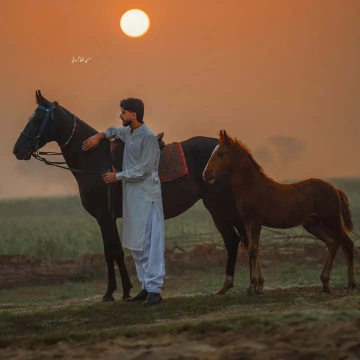 @abdullahh_i
