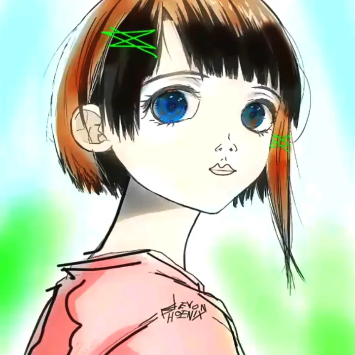 devonvideo