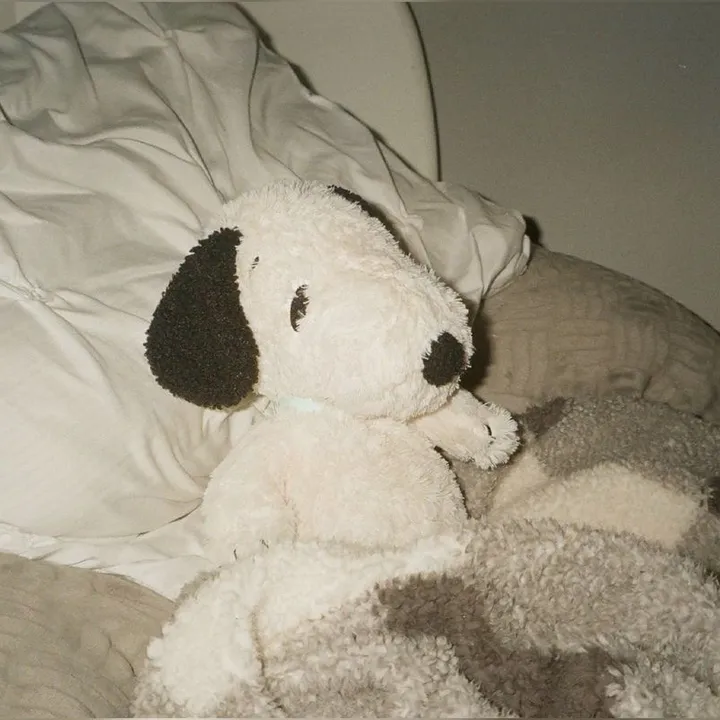 @fanofwallows