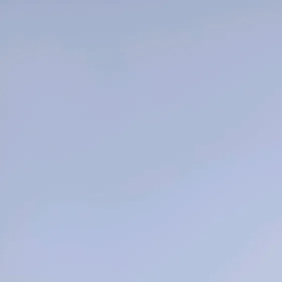 altacc428