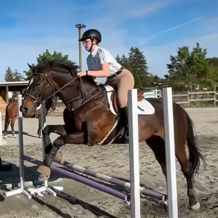 @bem_equestrian