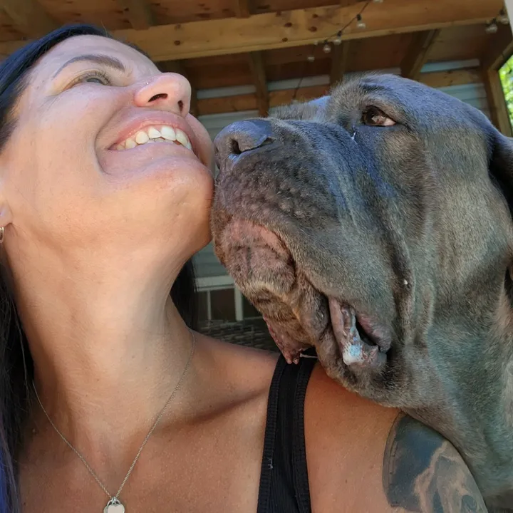 @canadadogmom