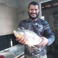fidellcarneiro