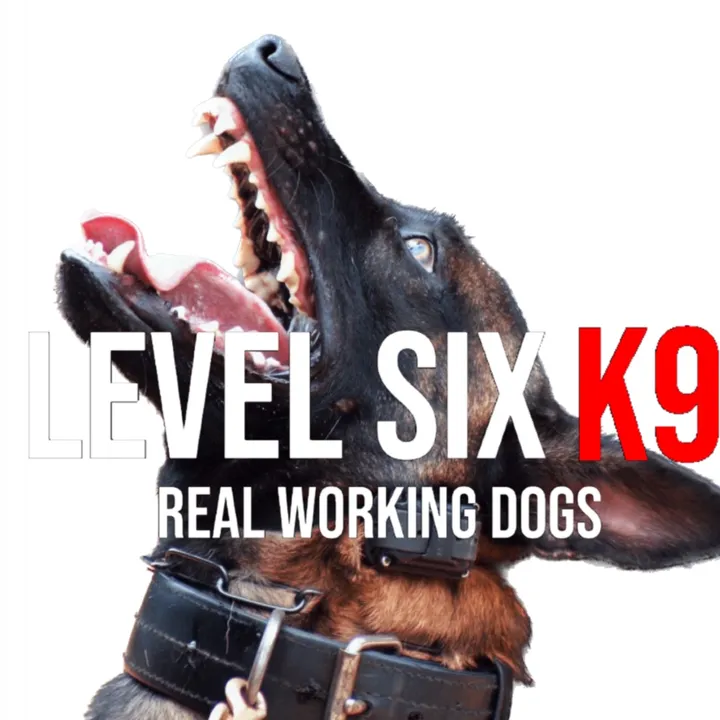 lsk9atlanta