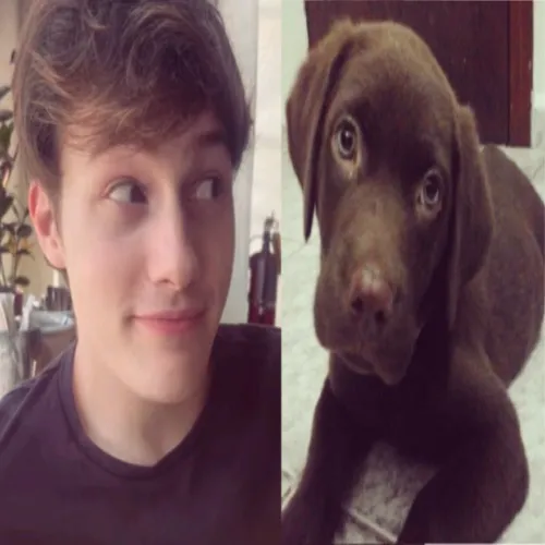 dannygetajob