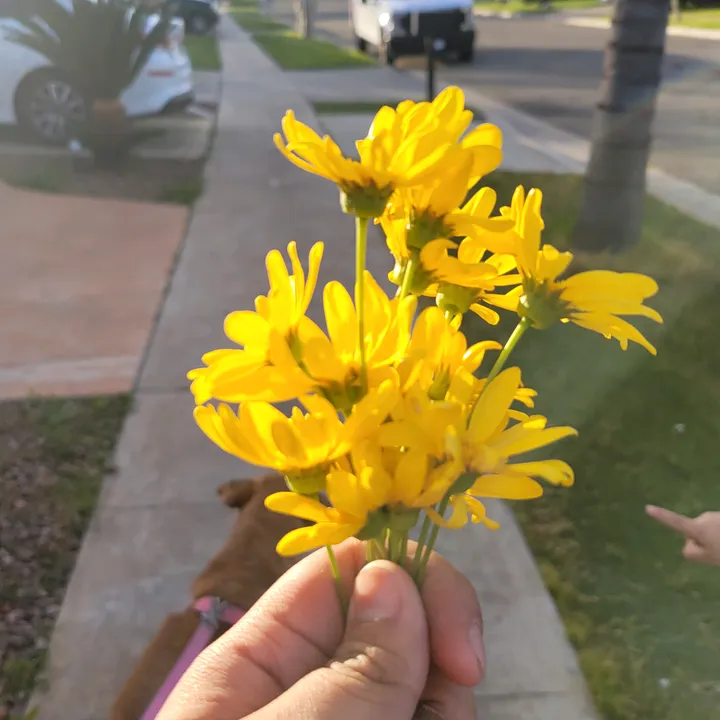 @1.juliett3