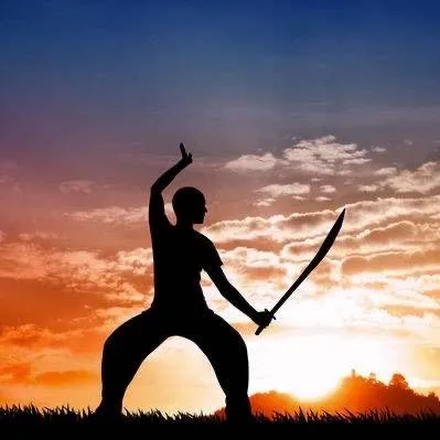 sl.kungfu