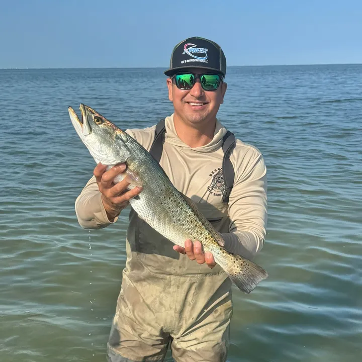 losganchadosfishing956