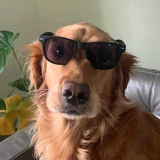 riley_the_nugget