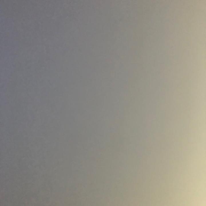 🦅🦅 - suara asli