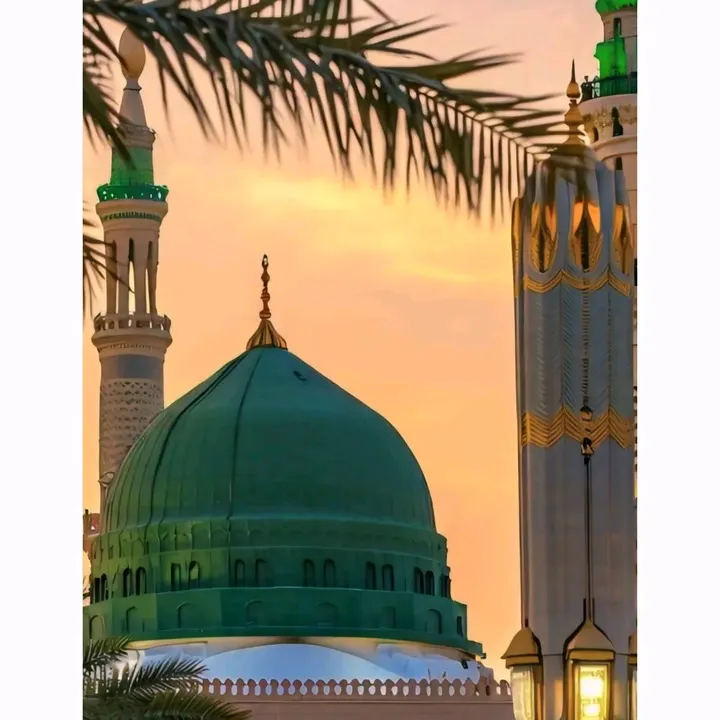 @cricket_editxxs