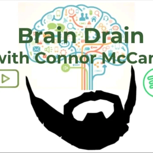 braindrainpod