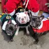 3_little_french_pigs