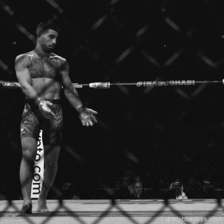 theofficialmma