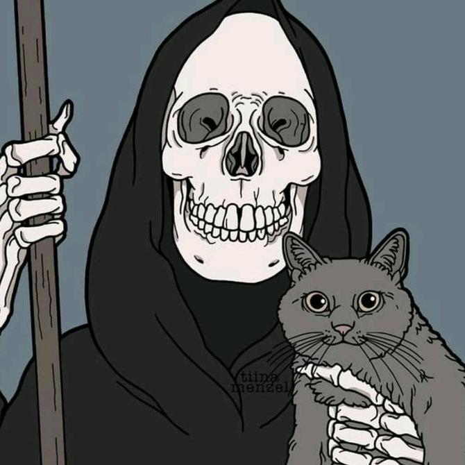 . - suara asli