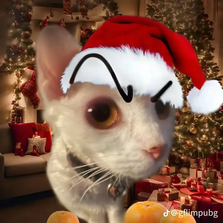 @warcat64