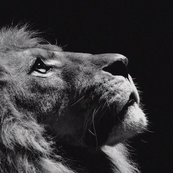 WC - original sound - warriorsofchrist_