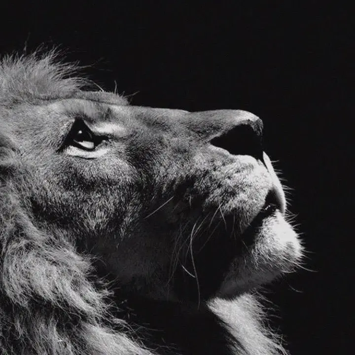 WarriorsofChrist - original sound - warriorsofchrist_