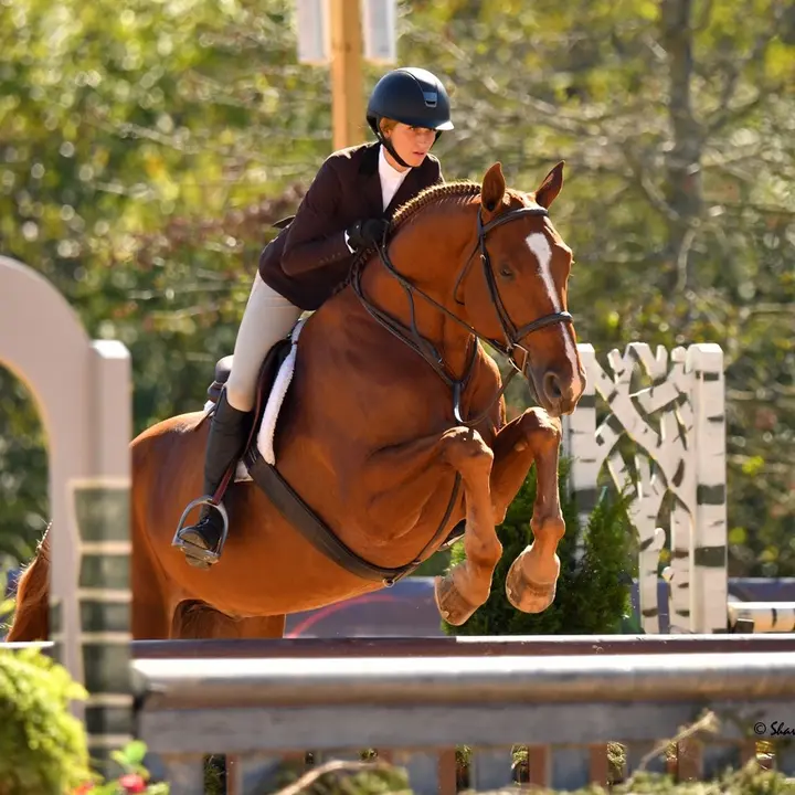 @lexi.liles_eq