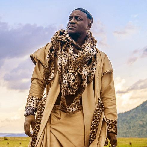 Akon - Troublemaker